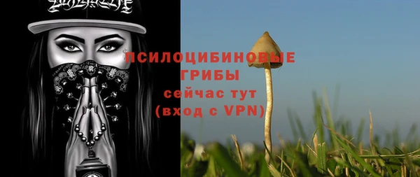 эйфоретик Абаза