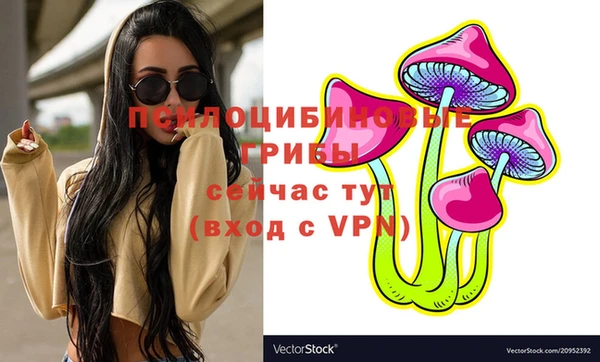 бошки Алзамай