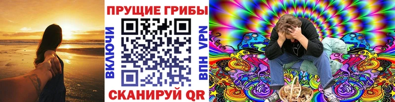 Псилоцибиновые грибы мицелий  продажа наркотиков  Подольск 